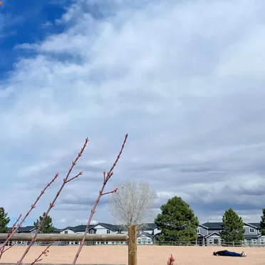 Everybody’s dead! (Virtual Riot version)