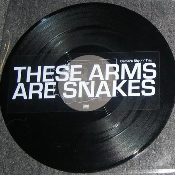 These Arms Are Snakes / Russian Circles