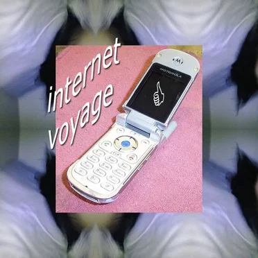 Internet Voyage