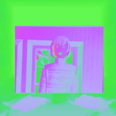 Fantastic.exe by Acidgvrl - album cover