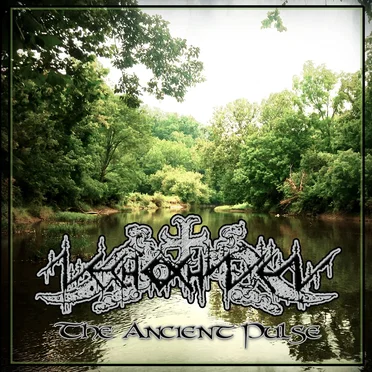 The Ancient Pulse by Nechochwen - album cover