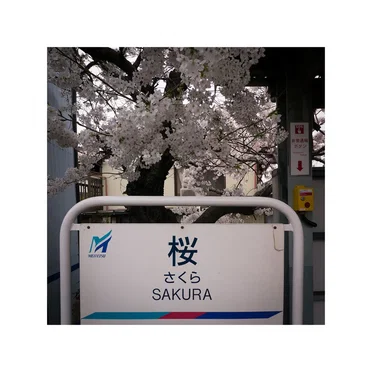 Fall In Love With Me