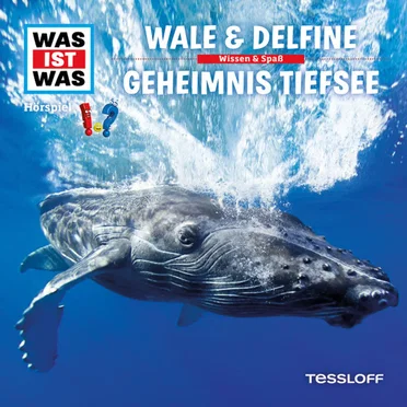Wale & Delfine / Geheimnisse der Tiefsee by WAS IST WAS - album cover