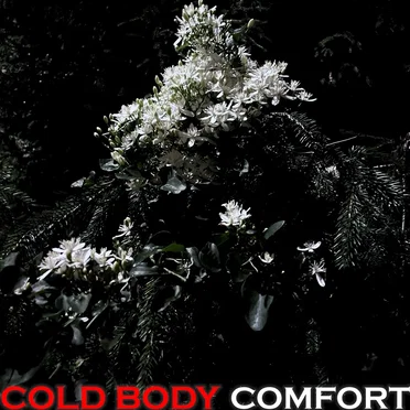 Comfort by Cold Body - album cover