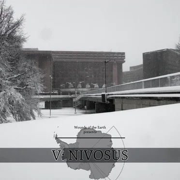 V: Nivosus by Various Artists - album cover