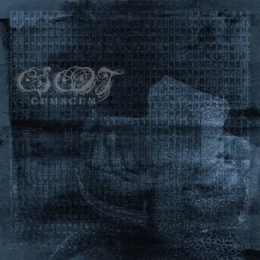CUMSCUM by Cheating Spouses Caught on Tape - album cover