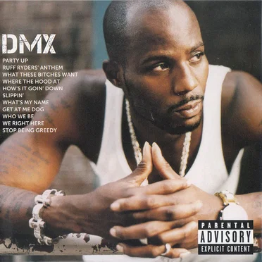 Icon: DMX