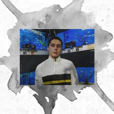 Fish (Freestyle)