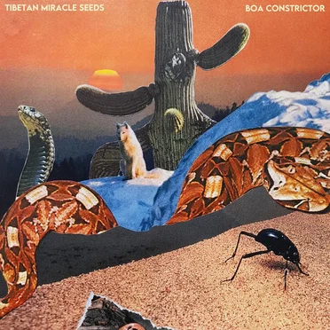 Boa Constrictor by Tibetan Miracle Seeds - album cover