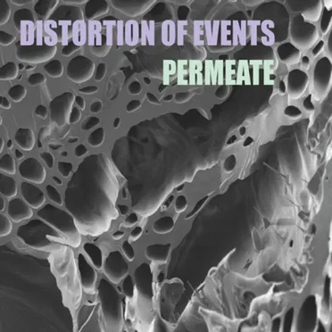 Permeate by Distortion of Events - album cover