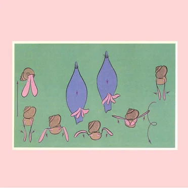 Cashmere Spheres