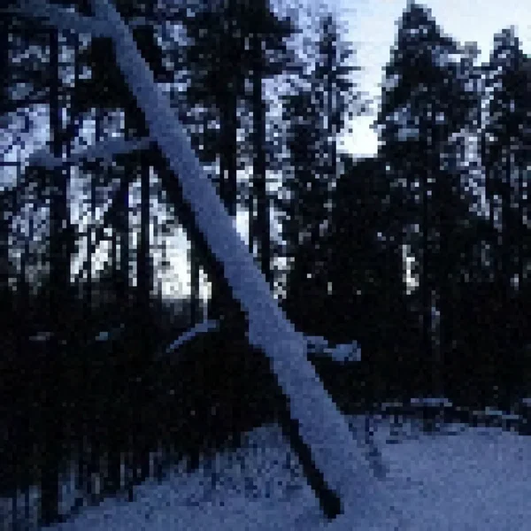 ymmärrys
