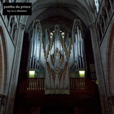 Lay in a Shimmer by Pantha du Prince - album cover