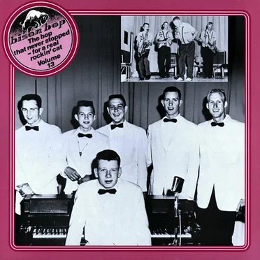 Bison Bop: The Bop That Never Stopped - For a Real Rockin' Cat, Volume 13 by Various Artists - album cover