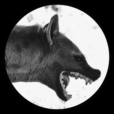 KROTONE 001 by Krotone - album cover