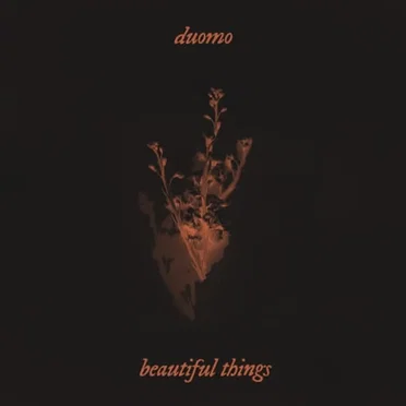Beautiful Things