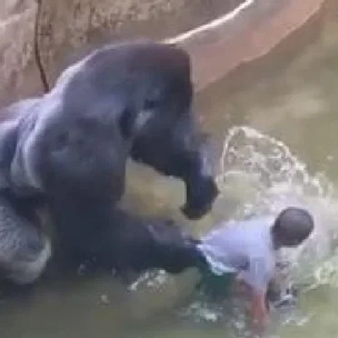 One 4 Harambe by GOD.DAMN.CHAN. - album cover