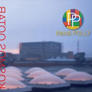 Kosmos ootab by Paha Polly - album cover