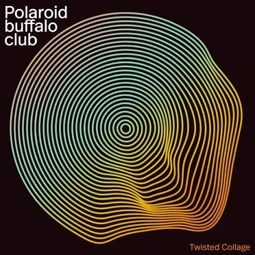 Twisted Collage by Polaroid Buffalo Club - album cover