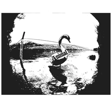 Animal by Death Trails - album cover
