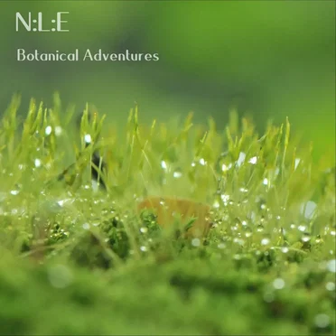 Botanical Adventures