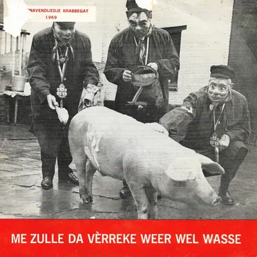 Me zulle da vèrreke weer wel wasse by Stichting Vastenavend - album cover