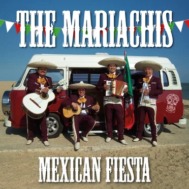 Mexican Party