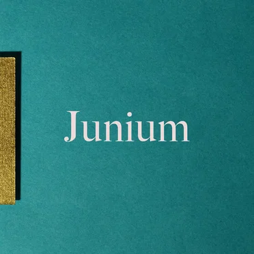 I Am Still / Into Your Orbit by Junium - album cover