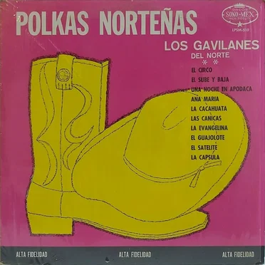 Polkas norteñas by Los Gavilanes del Norte - album cover