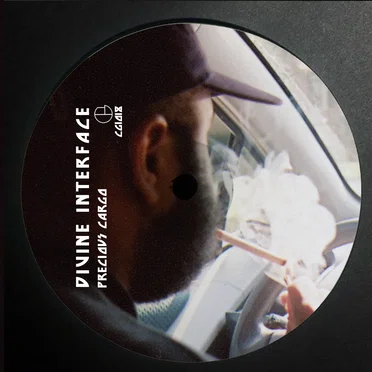 Precious Cargo by Divine Interface - album cover