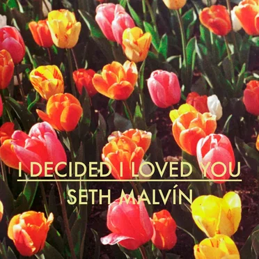 I Decided I Loved You by Seth Malvin - album cover