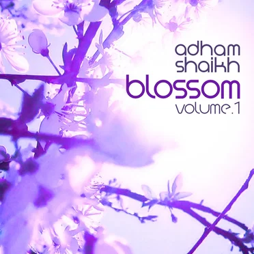 Blossom Vol 1 by Adham Shaikh - album cover