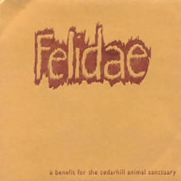 Felidae - A Benefit for the Cedarhill Animal Sanctuary by Various Artists - album cover