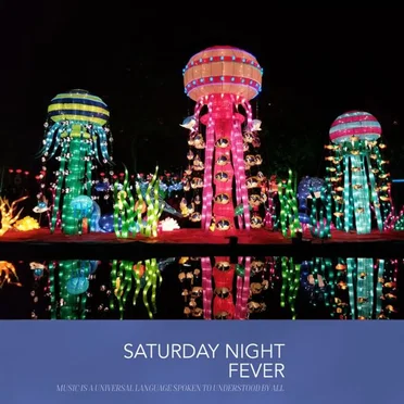 Saturday Night Fever by Various Artists - album cover