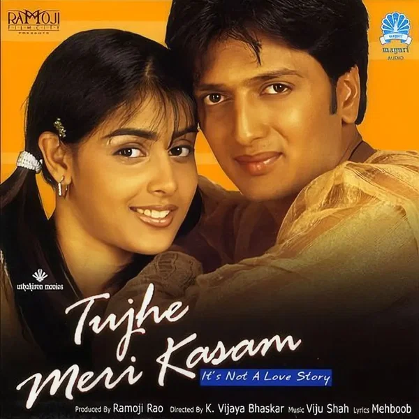 Tujhe Meri Kasam (It's Not A Love Story)