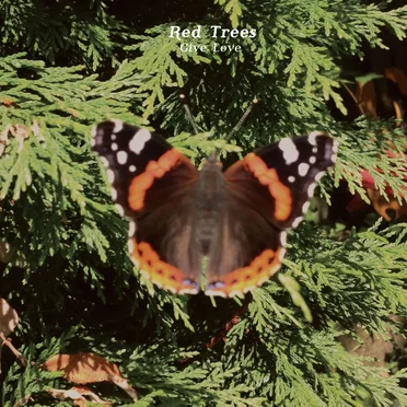 Give Love by Red Trees - album cover