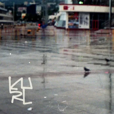 Pigeon Days