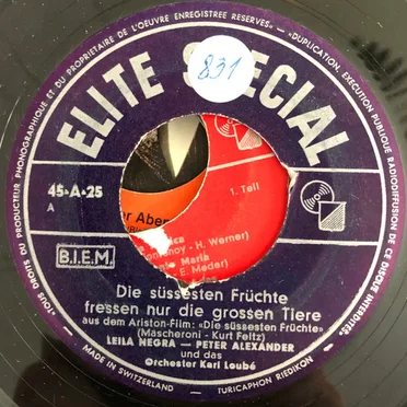 Die süßesten Früchte fressen nur die großen Tiere / Mein großer Bruder