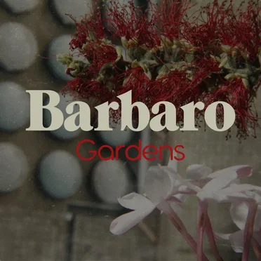 Barbaro