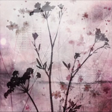 still, endlessly by Eversame - album cover