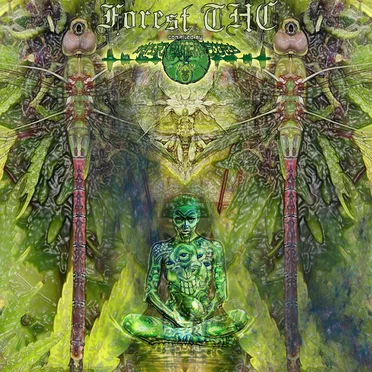 Forest THC by Various Artists - album cover