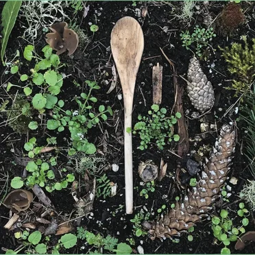 Wooden Spoon by Michael Compton - album cover