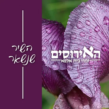 השיר שנשאר