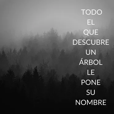 Todo el que descubre un árbol le pone su nombre