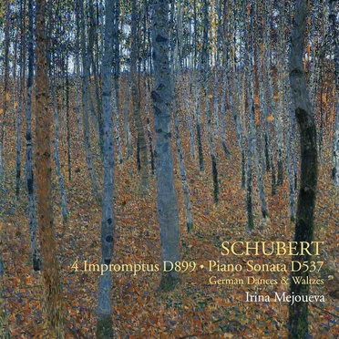 Schubert - 4 Impromptus D. 899, Piano Sonata D. 537, etc.