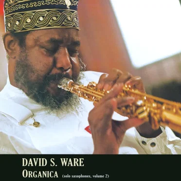 Organica (solo saxophones, volume 2)