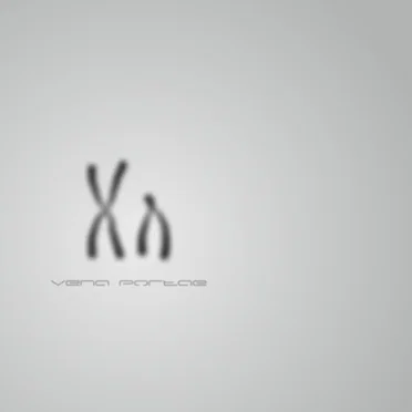XY
