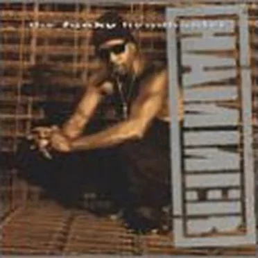 The Funky Headhunter