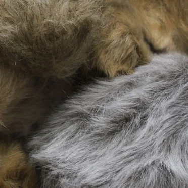 The Trouble With Tribbles