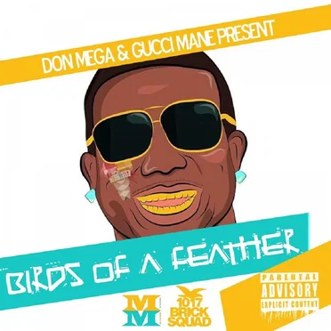 Birds of a Feather 2 by Don Mega - album cover